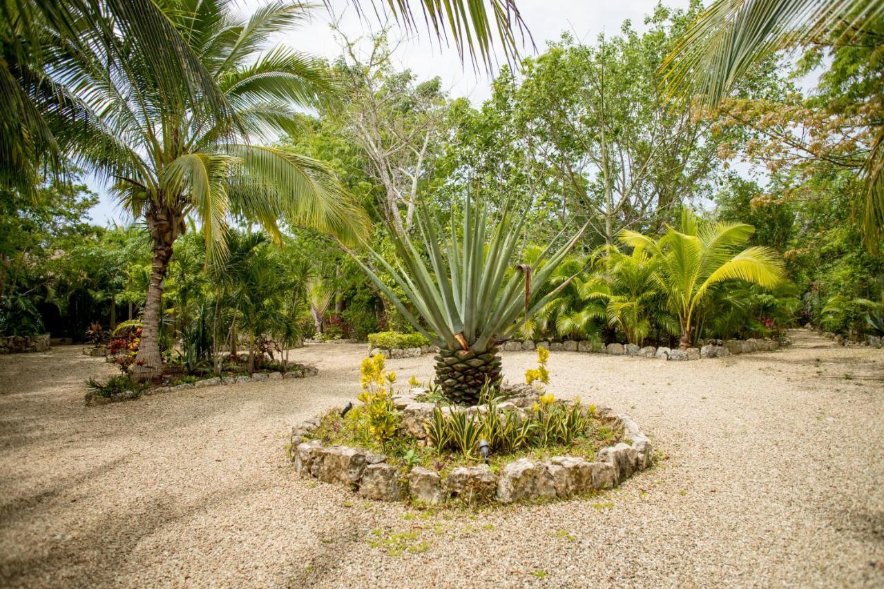 Aldea Jo-Yah Tulum Exterior foto