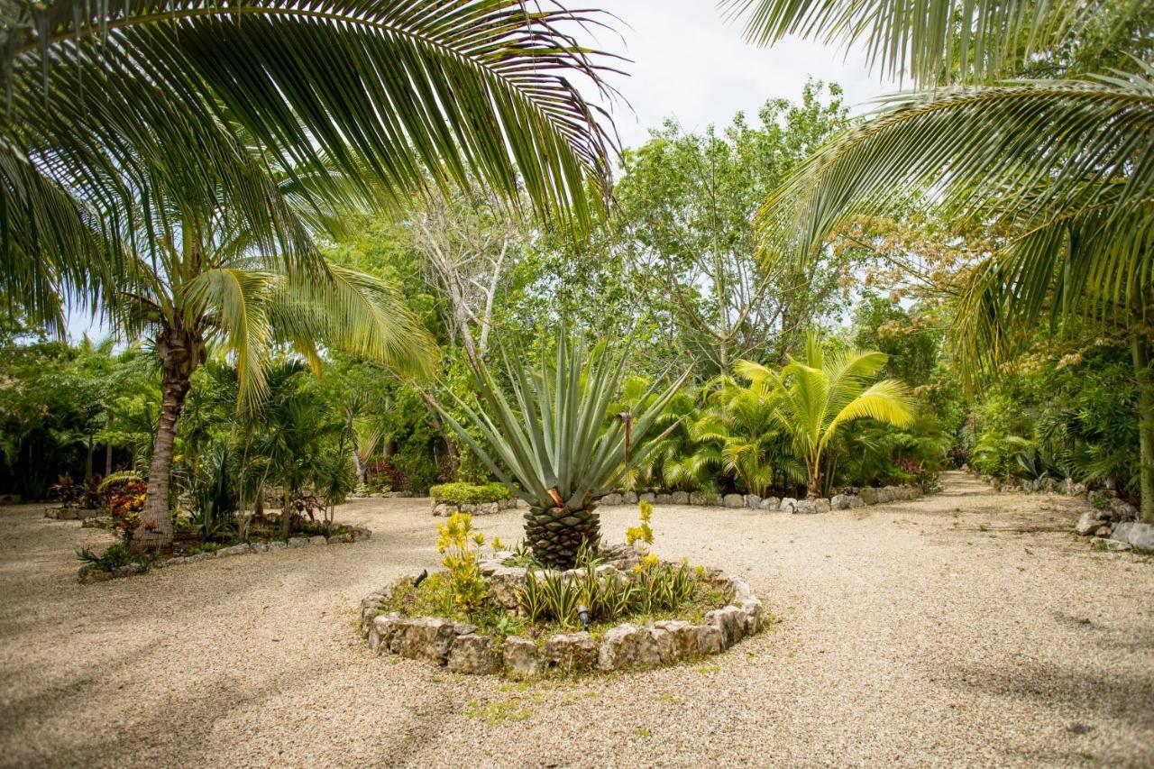 Aldea Jo-Yah Tulum Exterior foto